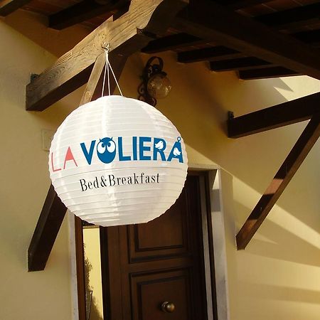 La Voliera Bed & Breakfastピサ エクステリア 写真
